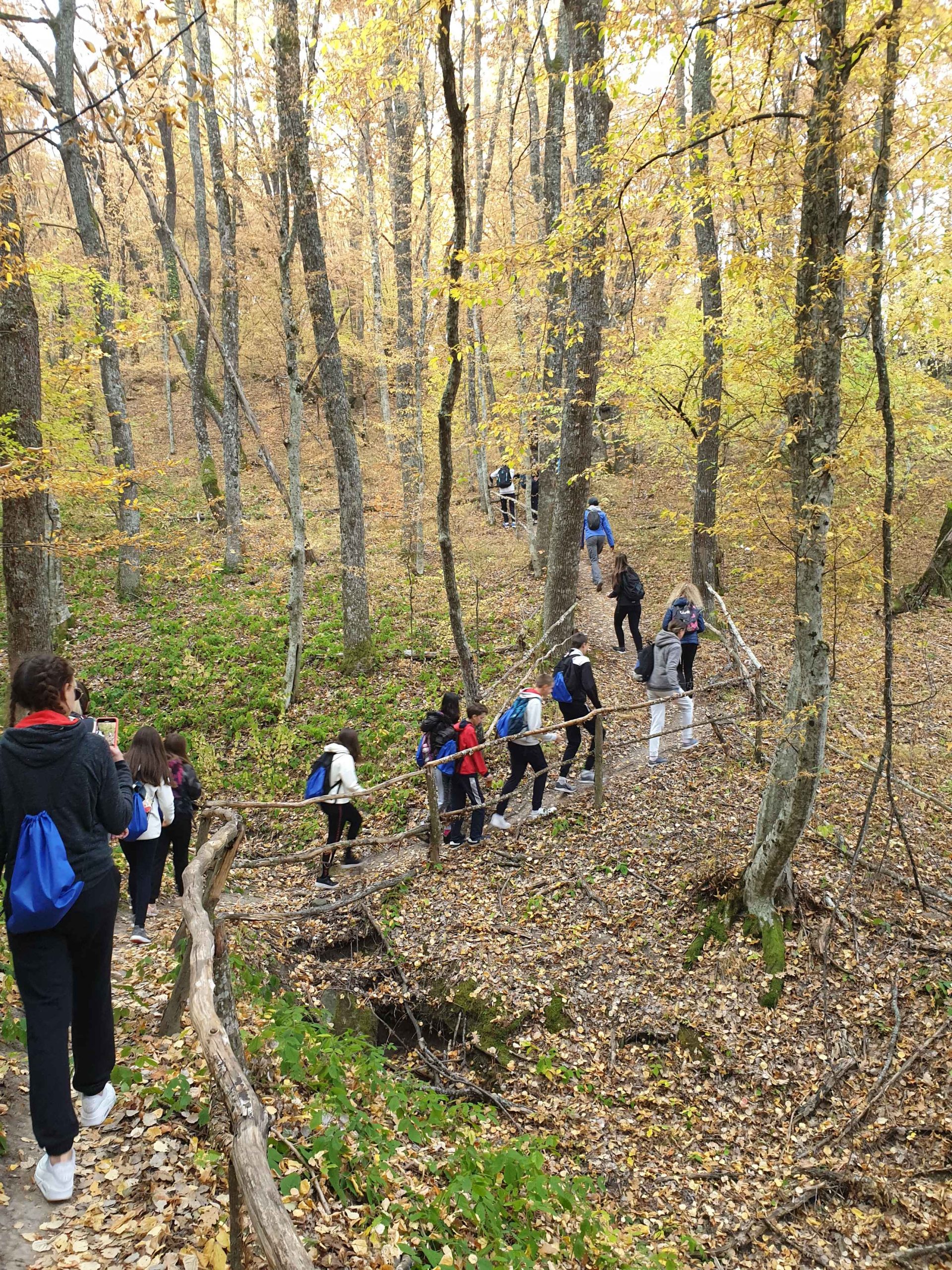 Youth_to_Nature_and_Nature_to_Youth___14_