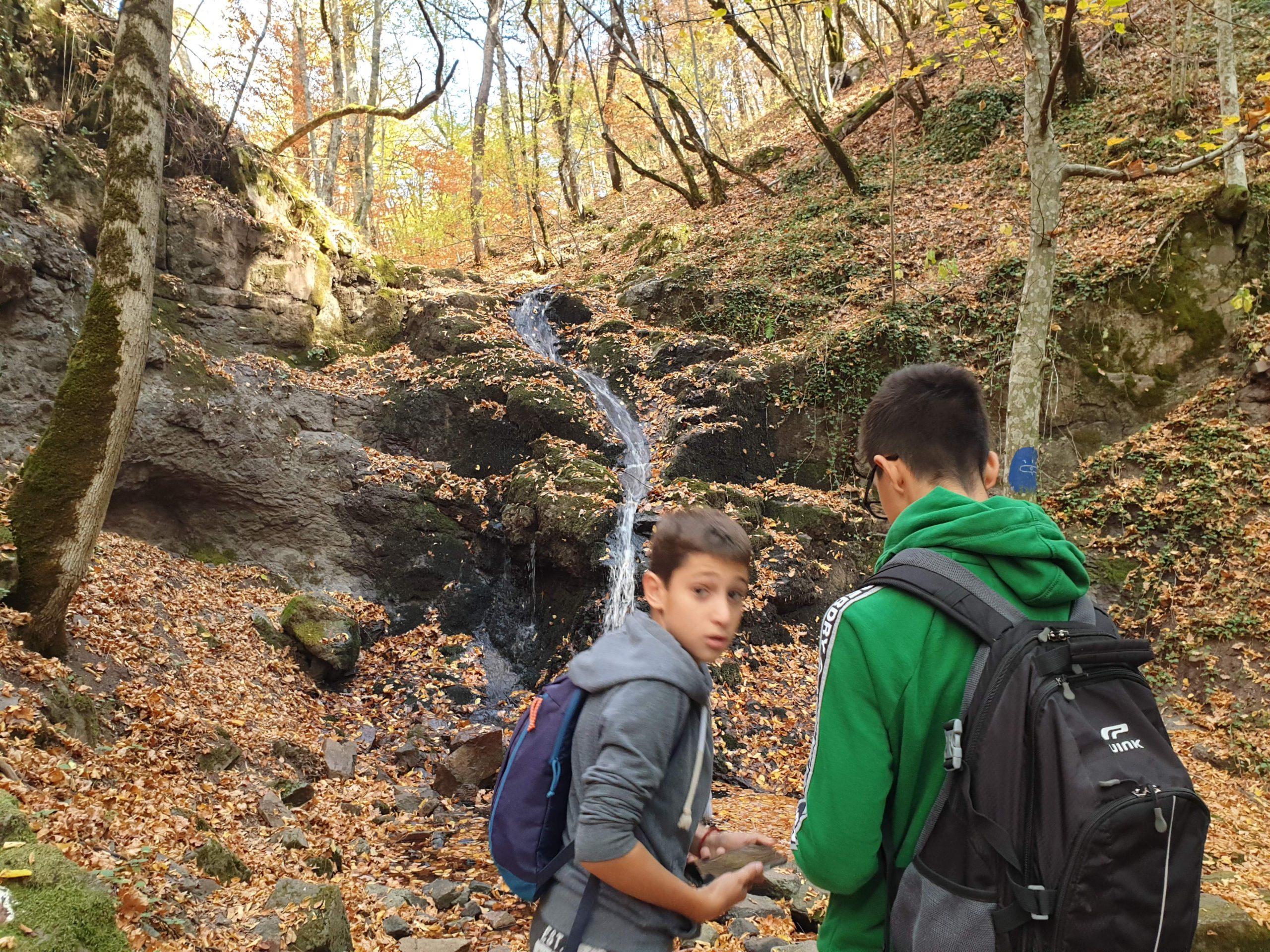 Youth_to_Nature_and_Nature_to_Youth___27_